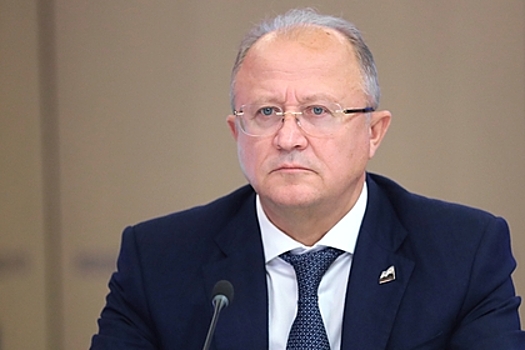 «Единая Россия» приостановила членство задержанного собственника «Листвяжной»