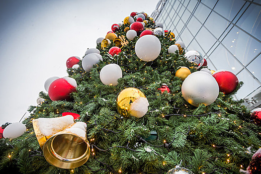 В Новосибирске подруга Гринча атаковала новогоднюю елку