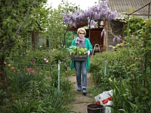 Перечислены изменения для дачников в 2025 году