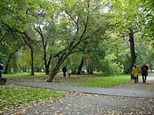 Аллея у Уралмаша в Екатеринбурге получила официальное название «Сквер героев СВО»