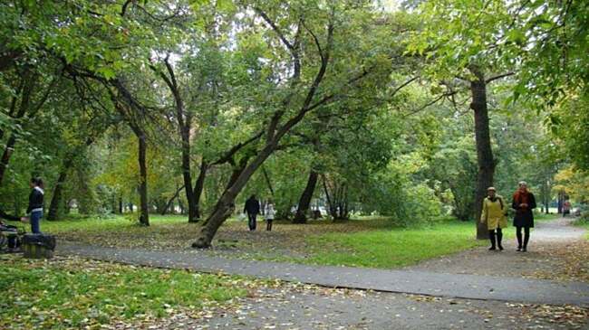 Аллея у Уралмаша в Екатеринбурге получила официальное название «Сквер героев СВО»