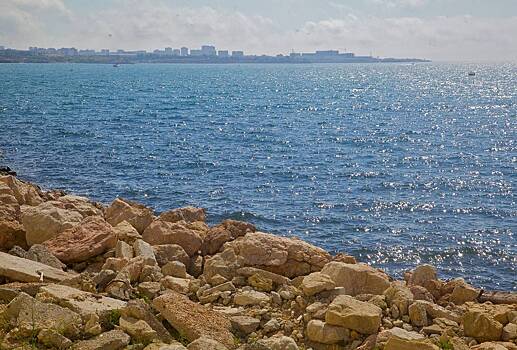 Информацию Украины о загрязнении вод Черного моря опровергли