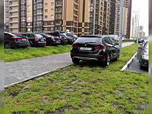 Ночью под окнами постоянно срабатывает сигнализация чужой машины. Что делать?