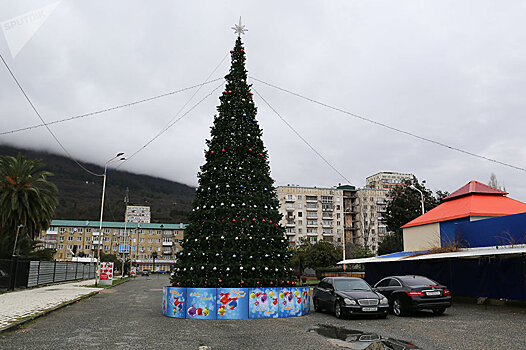 Парад елок: как нарядили новогоднюю красавицу в районах Абхазии