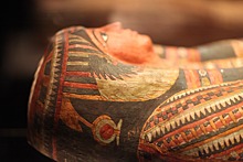 Некоторые британские музеи отказались от слова "мумия"