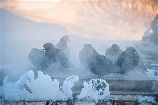 Сибирь ожидают морозы до 40 градусов к концу недели