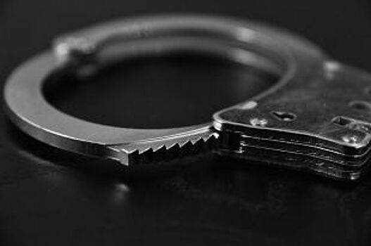 В Муроме двое мужчин за четыре месяца совершили 14 преступлений