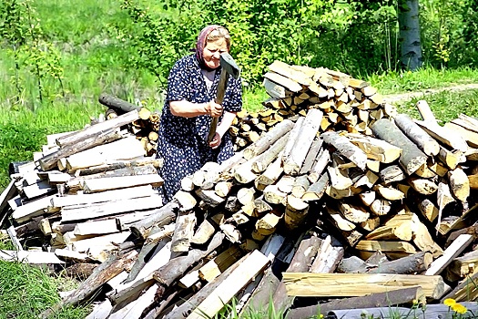 В Омской области остаются заброшенными десятки тысяч дачных участков