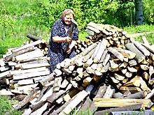 В Омской области остаются заброшенными десятки тысяч дачных участков