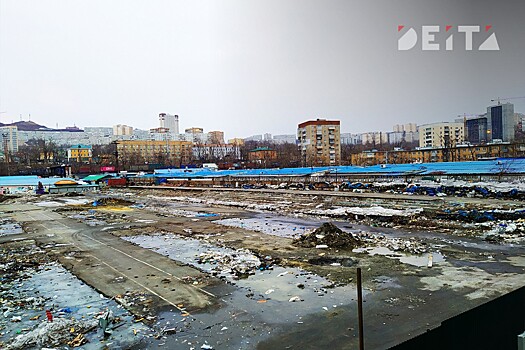 Что могут построить на территории Спортивного рынка, рассказали в мэрии Владивостока