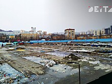 Администрация Владивостока назвала альтернативы Спортивному рынку