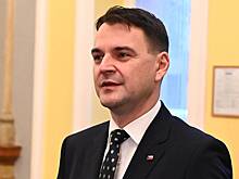 Глава МИД Чехии посетит Киев