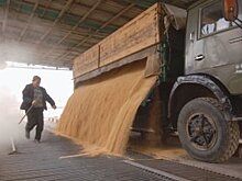 В Янтарном крае компенсируют закупку сельхозпродукции в кооперативах