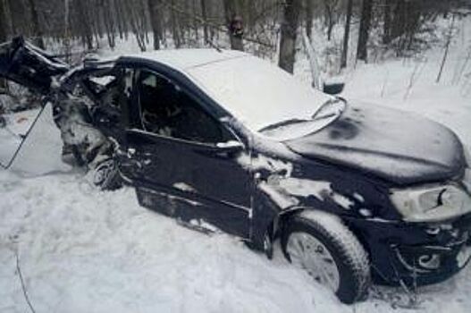 Четверо пострадали в лобовом ДТП двух легковушек в Воронеже