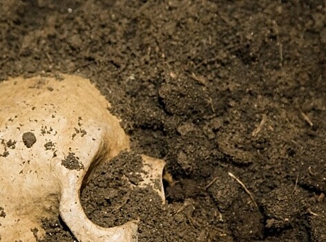 Древнейшее захоронение откопали археологи в Мексике
