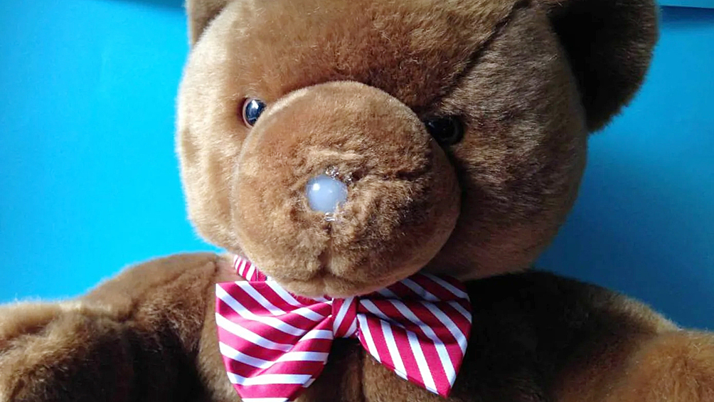 Teddy Sitter — концепт игрушки, которая может рассказывать сказки, петь песни, ставить будильник, измерять температуру и влажность воздуха и многое другое. Но не все так радужно. Главная функция игрушки — слежка за ребенком. В нос медведя установлена камера, которая транслирует все родителям.