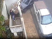 Автомобиль пробил стену и сбил женщину в Мексике