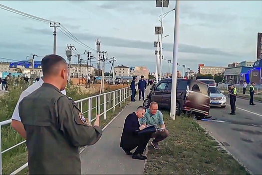 Кто виноват в смертельном ДТП на улице Василенко в пригороде Благовещенска