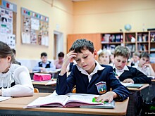 Владимирских школьников не будут массово отправлять на дистанционное обучение