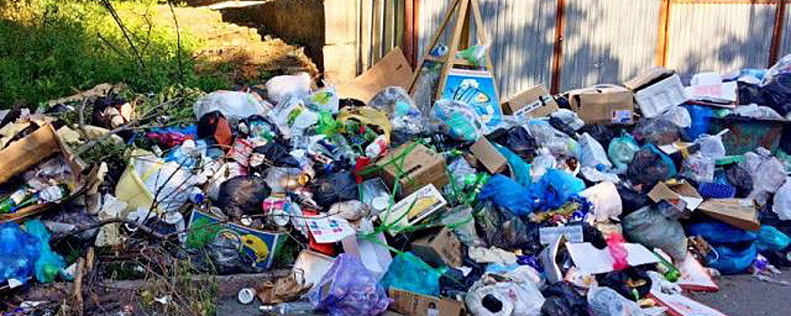 В Костромской области инспекция проверит соблюдение графиков вывоза мусора