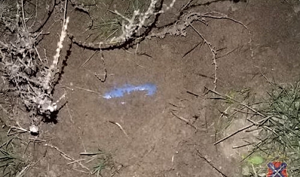 Полицейские задержали двух молодых волгоградцев за попытку сбыта наркотиков