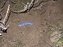 Полицейские задержали двух молодых волгоградцев за попытку сбыта наркотиков