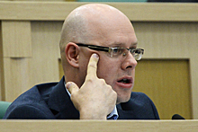 Сенатор пригрозил Шараповой судом из-за приписываемого им романа