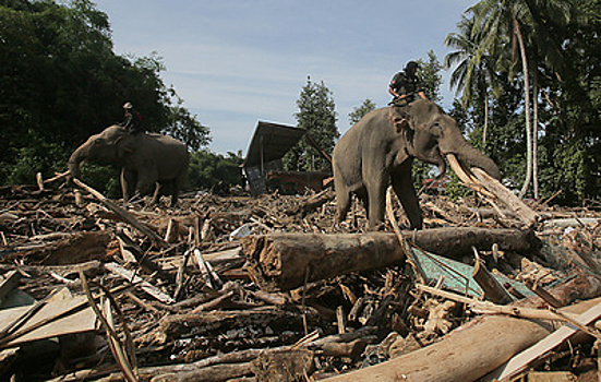 Число жертв наводнений в Индонезии превысило 1,1 тыс.
