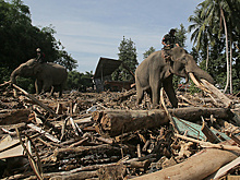 Число жертв наводнений в Индонезии превысило 1,1 тыс.