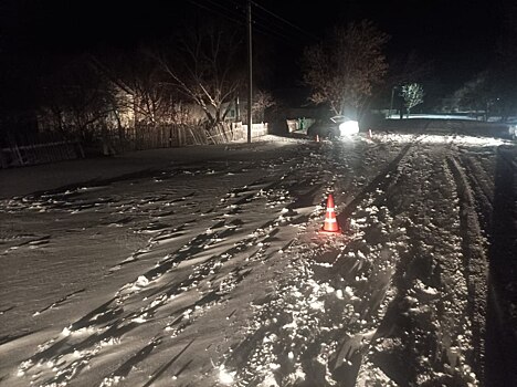 В Ясненском ГО при столкновении с деревом погиб водитель «Форд Фокус»
