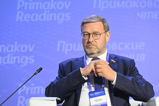 Остаётся только гадить: сенатор Косачёв объяснил поведение Еврокомиссии из-за запрета на мультишенген для россиян