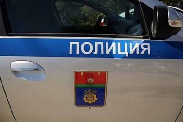 В Волгограде два подростка оказали сопротивление при задержании
