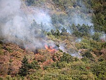 Лесной пожар в Геленджике стал крупнейшим с 2015 года