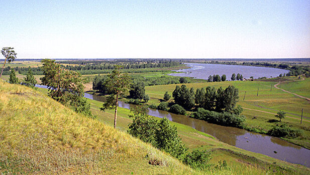 Экологи разбираются, как мазут попал в реку Белая в Башкирии