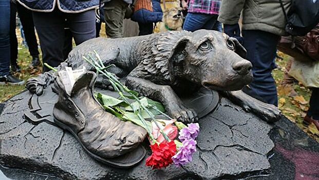 «Сердце чистейшей породы»: в Москве установили памятник бездомным животным