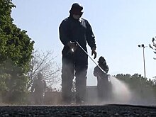 IRIS (Франция): как складывается ситуация с коронавирусом в России?