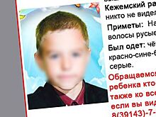 Пропавшего 9-летнего мальчика нашли убитым в Красноярском крае