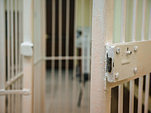 Суд ужесточил наказание фигуранту дела о массовой вырубке леса в Кузбассе