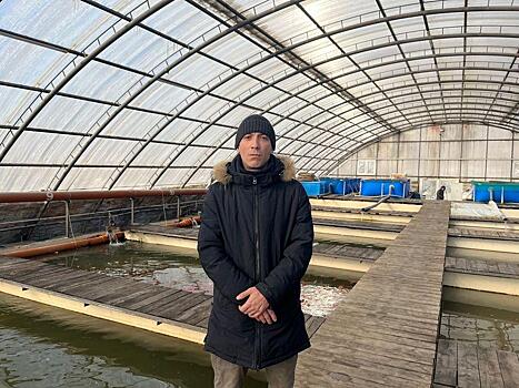 «Карпы, кои интеллектуальны»