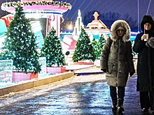 Синоптик Позднякова: В Москве на Новый год ожидается снег при умеренном морозе