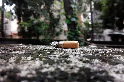 В России могут подорожать сигареты из‑за замены бумаги на самозатухающую