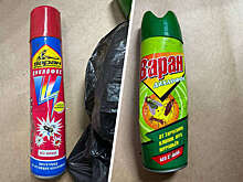 Дезинсектор Меньшиков: бытовой дихлофос максимум приводит к рвоте и ожогам