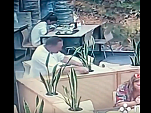 Обокравшего кафе в Сочи туриста сняли на видео