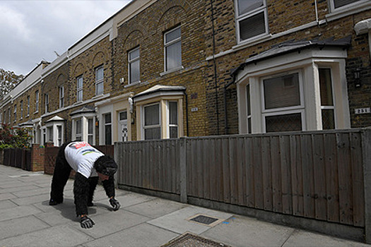 Участник Лондонского марафона шесть дней полз к финишу