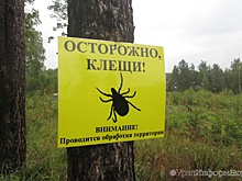 В Свердловской области зарегистрирован первый укус клеща