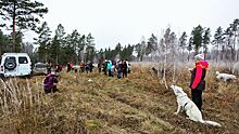 В Нижнем Новгороде вторые сутки ищут пропавшую девушку