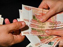 Одни из самых низких зарплат в Татарстане в отрасли лесного хозяйства и сфере туризма