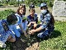 Сотрудники ЛИУ-23 ГУФСИН России по Свердловской области приняли участие в международной акции «Сад памяти»
