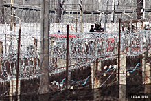 Осужденные устроили погром в колонии в Пугачеве, где сидел «скопинский маньяк»