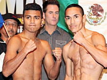 Большой вечер бокса от Херна с Эстрадой, Гонсалесом и Мартинесом: 23 октября в Мексике — СМИ